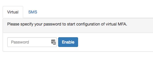 password-virtual-image