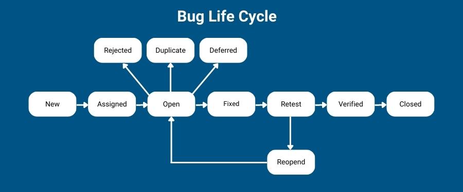 Bug Life Cycle