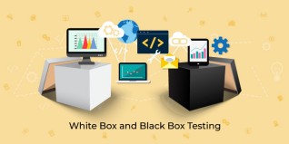 White box VS Black box testing