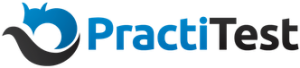 PractiTest-Logo-small-300x68