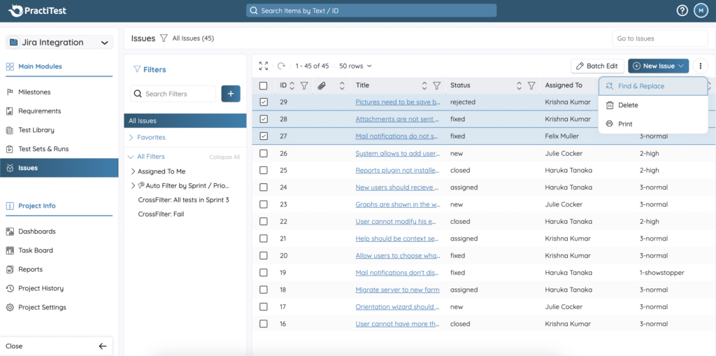find and replace in issues